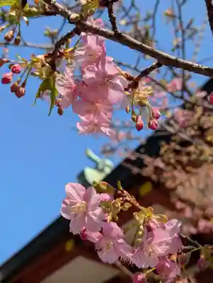 東神奈川熊野神社(神奈川県)