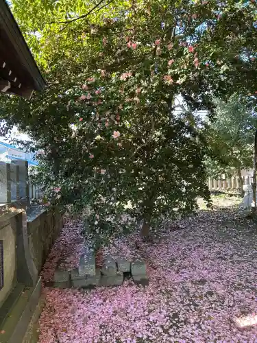 清洲山王宮　日吉神社(愛知県)