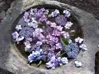 観音寺(富山県)