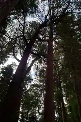 高千穂神社(宮崎県)