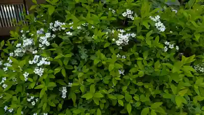 京都大神宮(京都府)