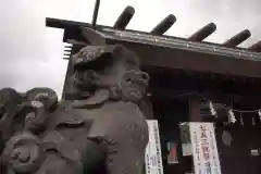 札幌護國神社の狛犬