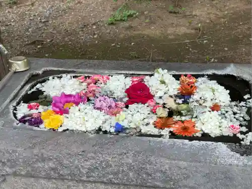 千代ケ岡八幡宮(栃木県)