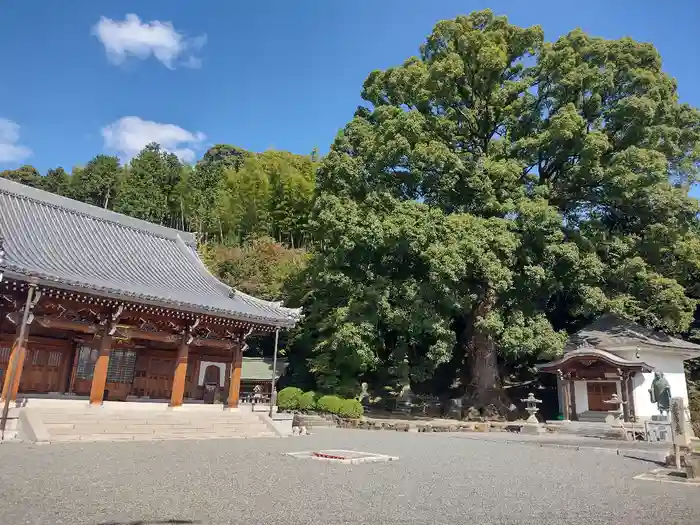 一乗寺の建物その他