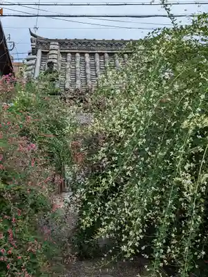 勝念寺（かましきさん）(京都府)