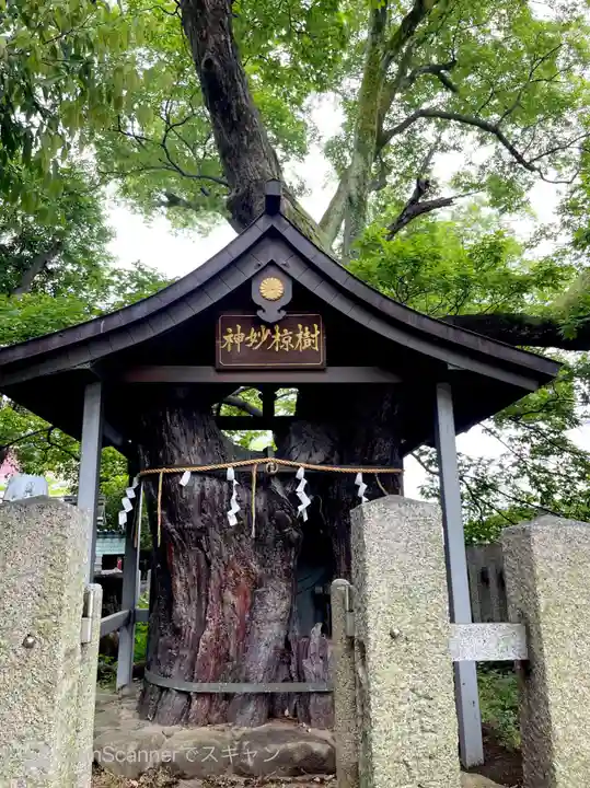 大聖勝軍寺の自然