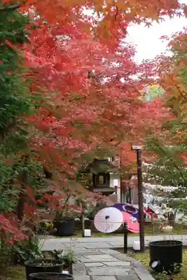 勝林寺(京都府)