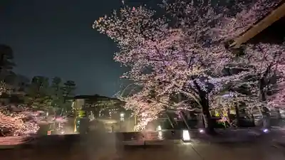 知恩院(京都府)