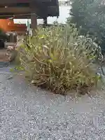 三輪神社(愛知県)