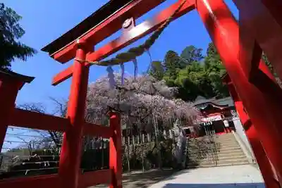 小川諏訪神社の鳥居