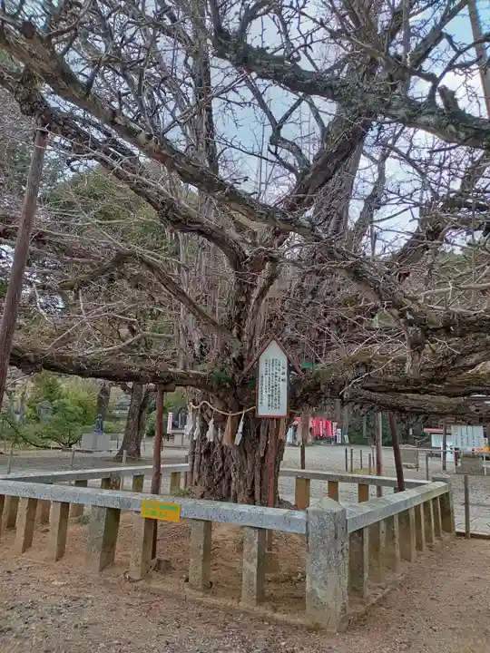 誕生寺(岡山県)