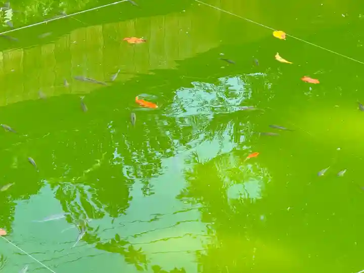 神炊館神社 ⁂奥州須賀川総鎮守⁂(福島県)