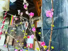 滑川神社 - 仕事と子どもの守り神の本殿