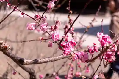 北野天満宮(京都府)