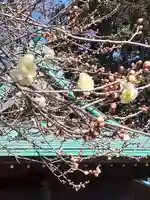 酒門神社の自然