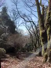 須賀神社(東京都)