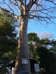 前鳥神社(神奈川県)