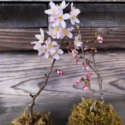 高司神社〜むすびの神の鎮まる社〜(福島県)