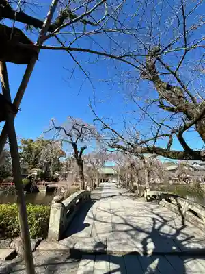 三嶋大社(静岡県)