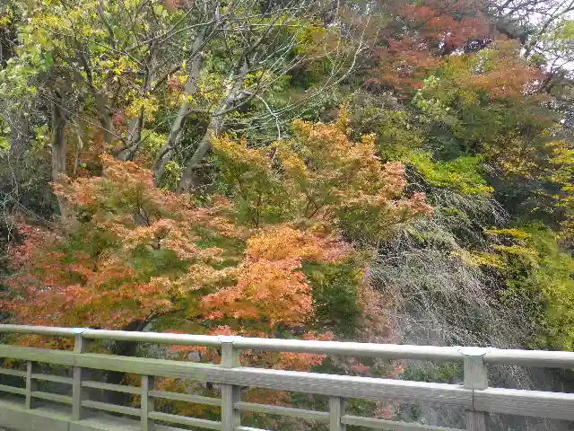 東勝寺跡の自然