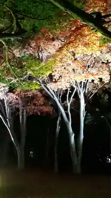 北広島市総鎮守　廣島神社のお祭り