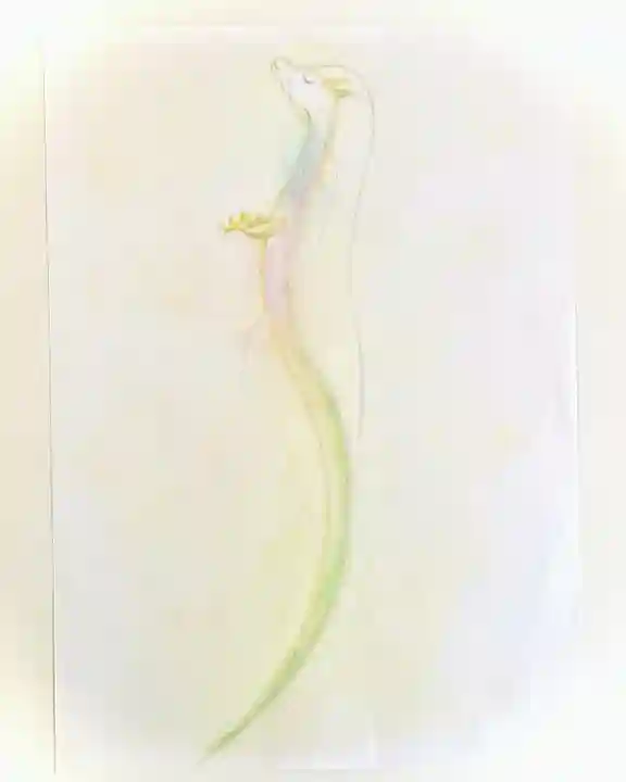 鹿嶋三嶋神社(茨城県)