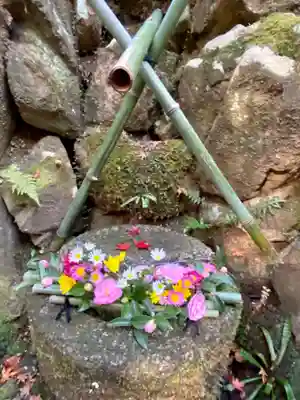 白龍神社(京都府)