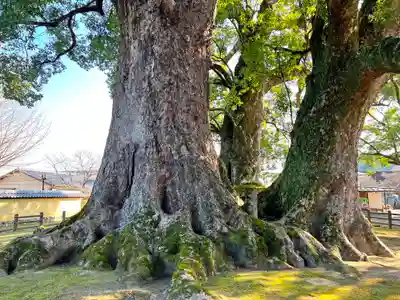 善導寺(福岡県)