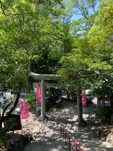 大山祇神社の鳥居