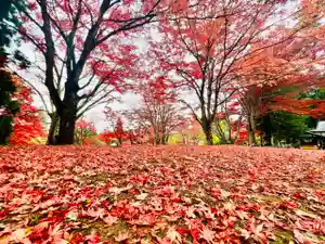 土津神社|こどもと出世の神さまの自然(2021年11月08日(月) 11時22分56秒投稿)