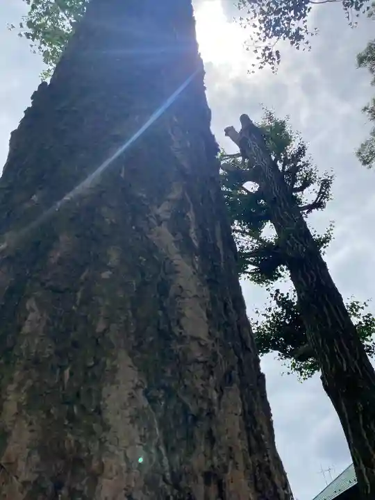 田無神社(東京都)