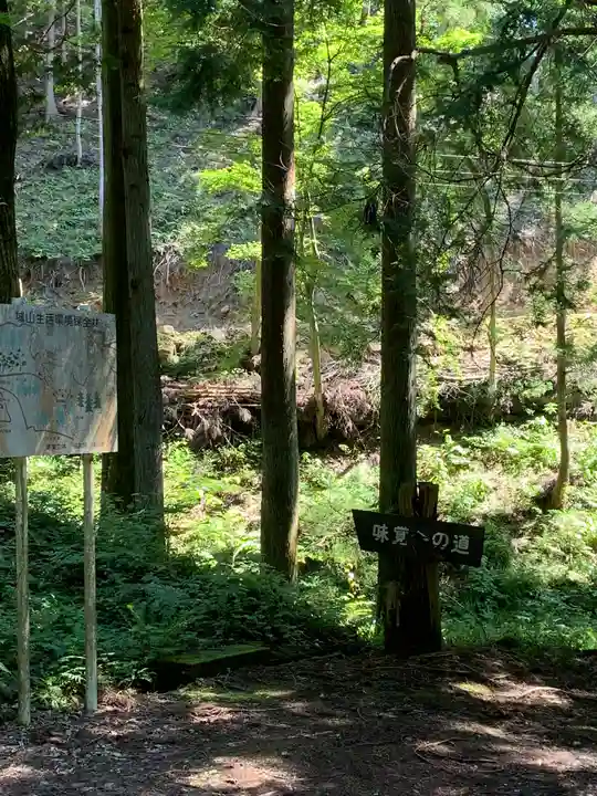 白山比咩神社の自然