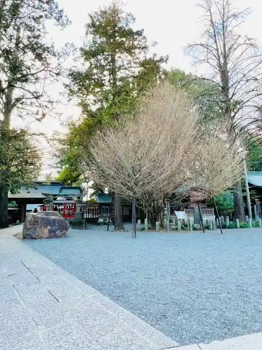 秩父神社の{uncategorized: "未分類", other: "その他", undefined: "問題あり", building: "その他建物", grave: "お墓", sacred_gate: "鳥居", guardian: "狛犬", statue: "像", buddha: "仏像", history: "歴史", nature: "自然", garden: "庭園", animal: "動物", pagoda: "塔", temizu: "手水舎", mountain_gate: "山門・神門", sanctuary: "本殿・本堂", subordinate: "末社・摂社", art: "芸術", scenery: "景色", jizo: "地蔵", ema: "絵馬", goshuin: "御朱印", omikuji: "おみくじ", items: "授与品その他", amulet: "お守り", goshuincho: "御朱印帳", eats: "食事", festival: "お祭り", votive_dance: "神楽", shichigosan: "七五三参", wedding: "結婚式", experience: "体験その他", initially: "初詣", around: "周辺", anti_infection: "感染症対策"}