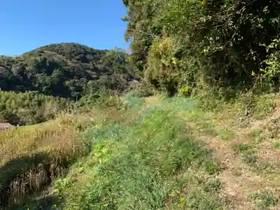 山祇神社の周辺