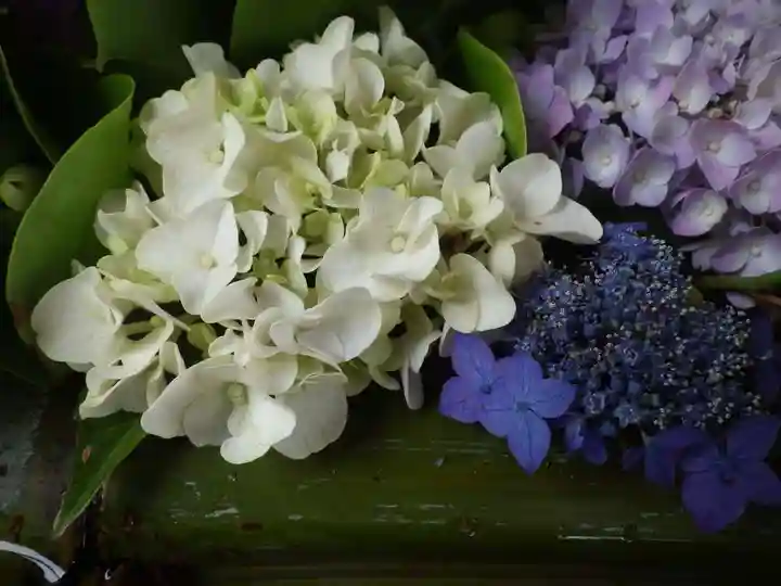 嘉川八幡宮(山口県)