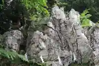 鹿島大神宮の自然