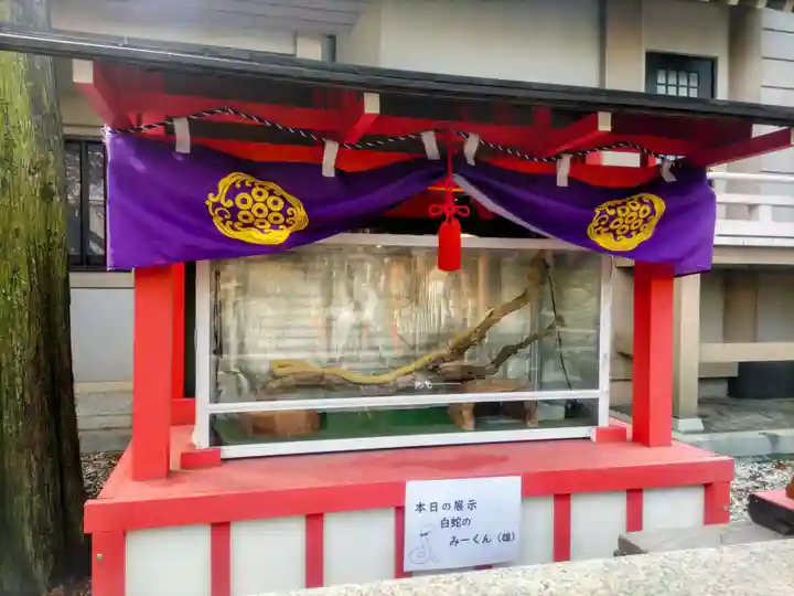 蛇窪神社(東京都)