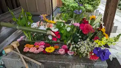 勝林寺の手水舎