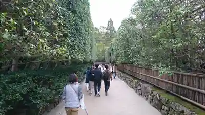 慈照寺(慈照禅寺・銀閣寺)(京都府)