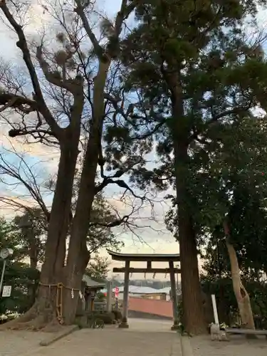 比々多神社のその他建物