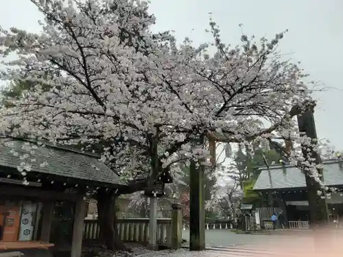 伊勢山皇大神宮(神奈川県)