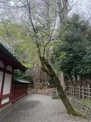 大國魂神社(東京都)