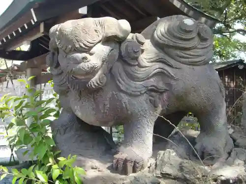 菊田神社の狛犬