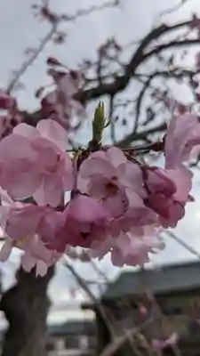 聚福院(愛知県)