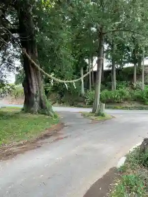鴨大神御子神主玉神社(茨城県)