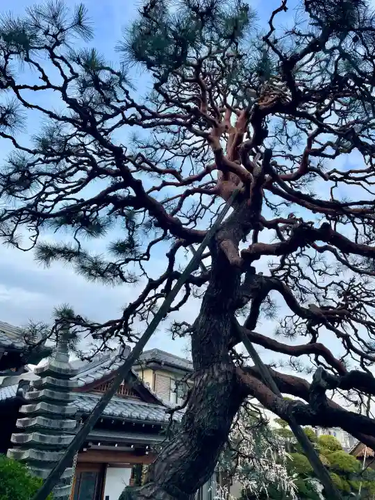浄念寺の{uncategorized: "未分類", other: "その他", undefined: "問題あり", building: "その他建物", grave: "お墓", sacred_gate: "鳥居", guardian: "狛犬", statue: "像", buddha: "仏像", history: "歴史", nature: "自然", garden: "庭園", animal: "動物", pagoda: "塔", temizu: "手水舎", mountain_gate: "山門・神門", sanctuary: "本殿・本堂", subordinate: "末社・摂社", art: "芸術", scenery: "景色", jizo: "地蔵", ema: "絵馬", goshuin: "御朱印", omikuji: "おみくじ", items: "授与品その他", amulet: "お守り", goshuincho: "御朱印帳", eats: "食事", festival: "お祭り", votive_dance: "神楽", shichigosan: "七五三参", wedding: "結婚式", experience: "体験その他", initially: "初詣", around: "周辺", anti_infection: "感染症対策"}
