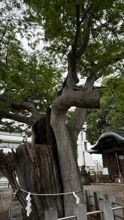 阿邪訶根神社(福島県)