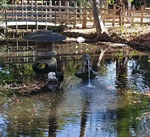 調神社の庭園