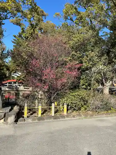 住吉大社(大阪府)