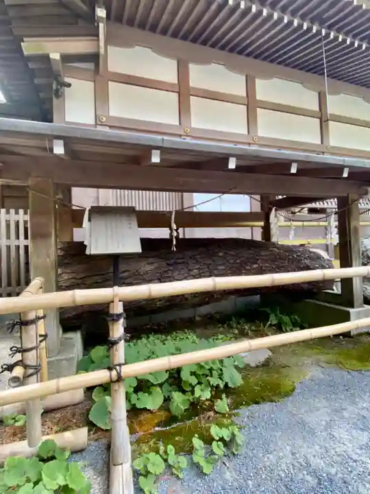 九頭竜大社(京都府)